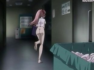 Pornografik içerikli anime, Mükemmel